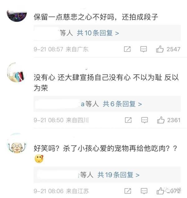 宠物被煮兄弟俩崩溃大哭！网友吵起来了：是上纲上线还是不尊重孩子